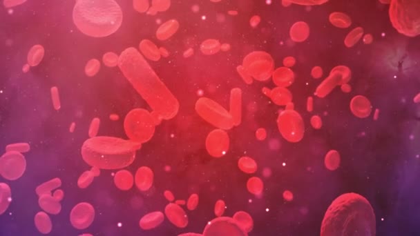 Kırmızı Kan Hücreleri Atardamarda Dolaşır Tıbbi Arka Plan — Stok video
