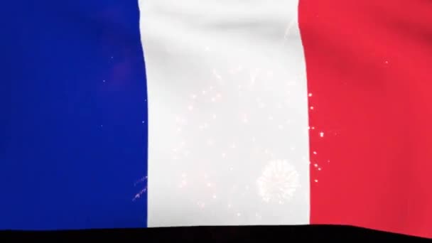 Francia Bandera Del Día Nacional Fuegos Artificiales — Vídeo de stock