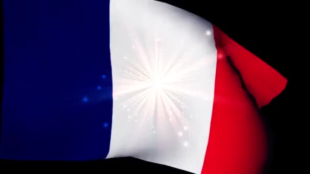 France National Day Flag Fireworks — Stock Video