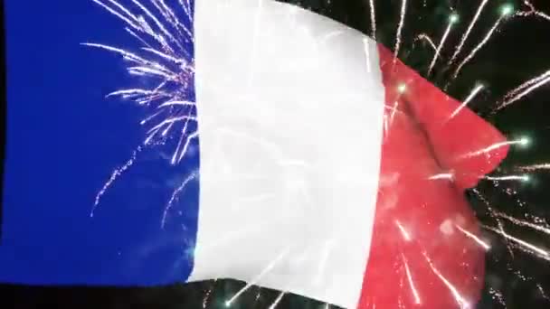 法国国庆旗和烟花 — 图库视频影像