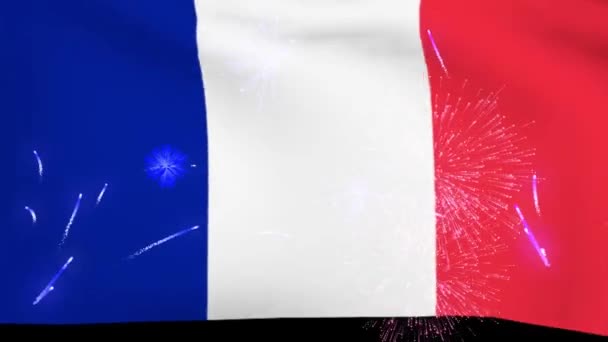 Festa Nazionale Della Francia Bandiera Fuochi Artificio — Video Stock