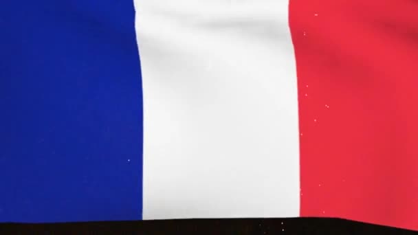 France National Day Flag Fireworks — Stock Video