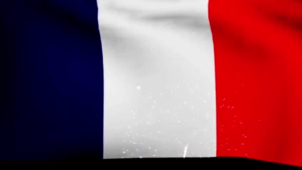 France Drapeau Fête Nationale Feux Artifice — Video