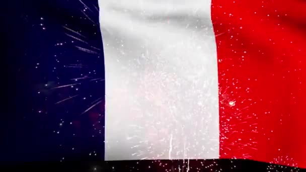 Γαλλία Εθνική Σημαία Ημέρα Και Πυροτεχνήματα — Αρχείο Βίντεο