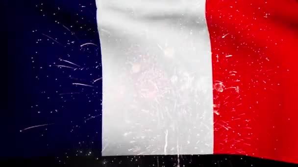 Francia Bandera Del Día Nacional Fuegos Artificiales — Vídeo de stock