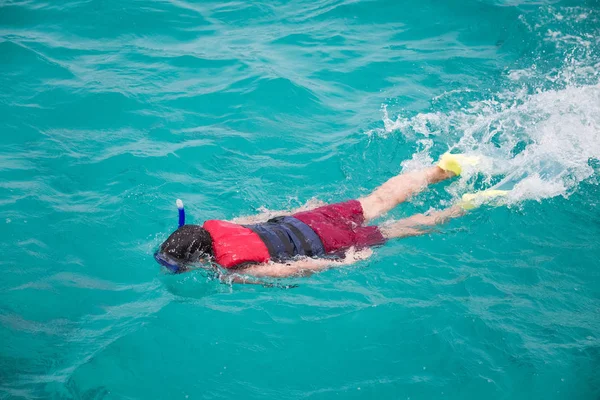 澄んだ青い水の楽園でシュノーケリング観光客 — ストック写真
