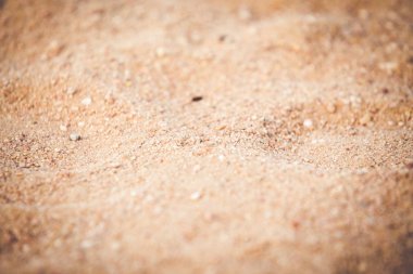 Altın kum plaj yaz arka plan