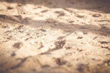 Altın kum plaj yaz arka plan