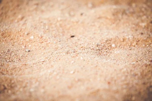 Altın kum plaj yaz arka plan