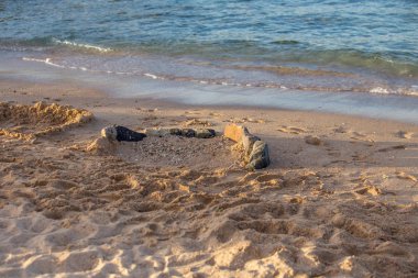 Plaj yaz arka plan tarafından Deniz dalgaları