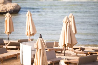  Plaj şemsiyesi yaz denizi