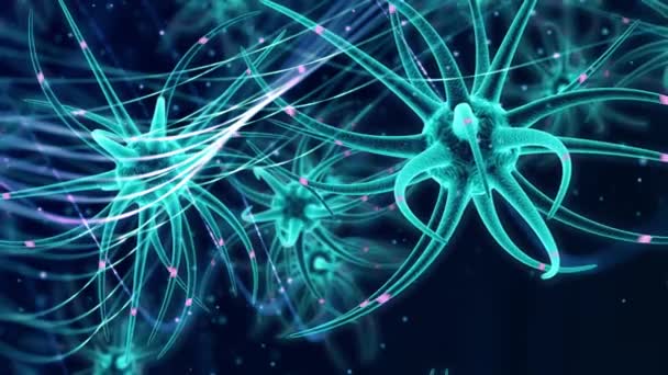 Νευροβλαστικά Βλαστοκύτταρα Ανάπτυξη Του Εγκεφάλου — Αρχείο Βίντεο