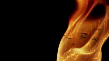 Korkunç Halloween örümcek web arka plan  