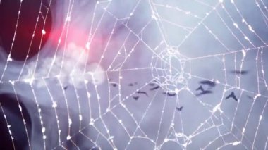 Korkunç Halloween örümcek web arka plan  