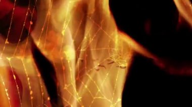 Korkunç Halloween örümcek web arka plan  