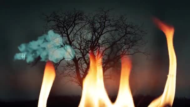ハッピーハロウィーン幽霊森林の背景 — ストック動画