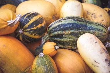 Sonbahar kabak kazık rustik arka plan 