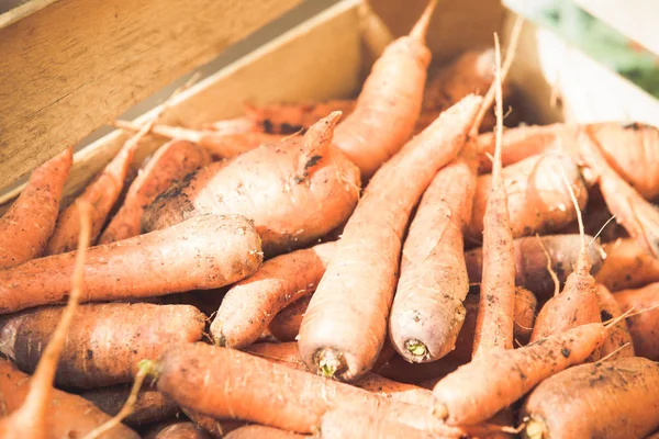 Carrots in a wooden box for winter storage