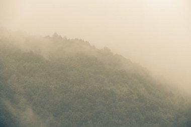 Sonbahar sisli dağ soğuk arka plan