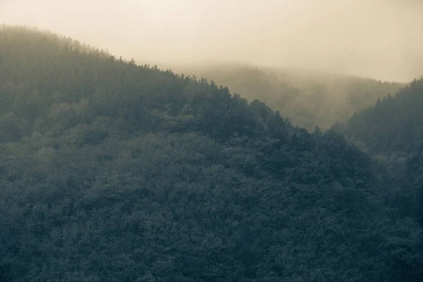 Autunno Nebbioso Montagna Freddo Sfondo — Foto Stock