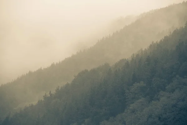 Autunno Nebbioso Montagna Freddo Sfondo — Foto Stock