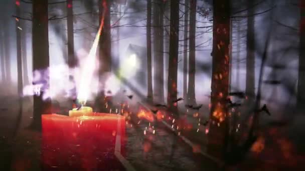Haunted Лес Счастливый Хэллоуин Фон — стоковое видео