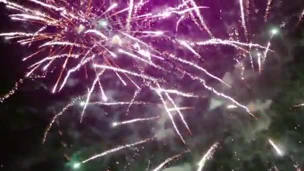 Yeni Yıl Havai Fişekleri Mor Arkaplan — Stok video