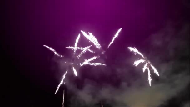 Nieuwjaar Vuurwerk Paarse Achtergrond — Stockvideo