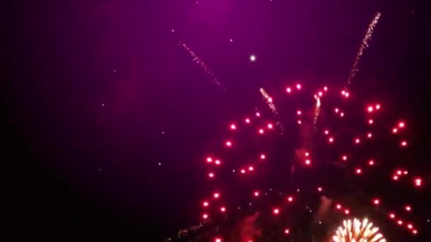 Silvester Feuerwerk Lila Hintergrund — Stockvideo