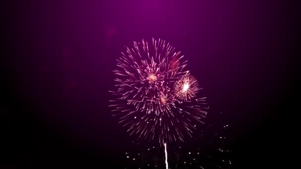 Fuochi Artificio Capodanno Sfondo Viola — Video Stock