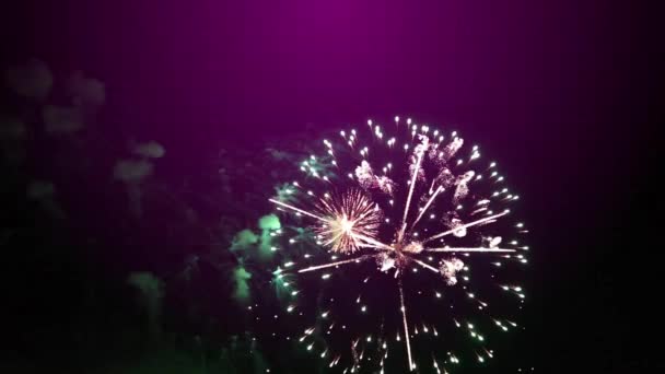 Año Nuevo Fuegos Artificiales Fondo Púrpura — Vídeos de Stock