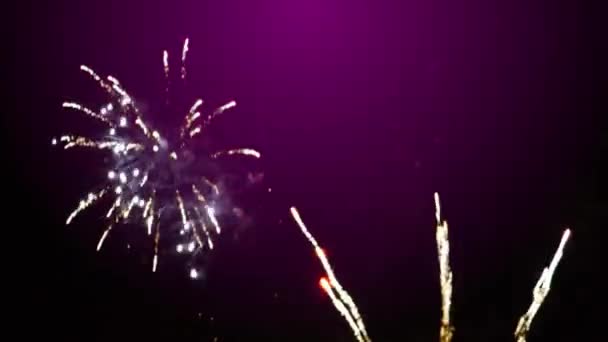 Nieuwjaar Vuurwerk Paarse Achtergrond — Stockvideo