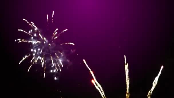 Silvester Feuerwerk Lila Hintergrund — Stockvideo