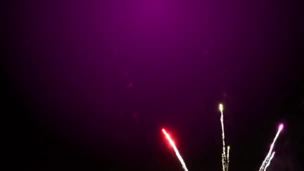 Año Nuevo Fuegos Artificiales Fondo Púrpura — Vídeos de Stock
