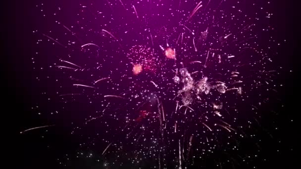 Silvester Feuerwerk Lila Hintergrund — Stockvideo