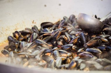 Izgarada taze midye. Ricetta 'yı rahat ettir. 