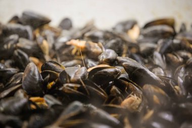 Izgarada taze midye. Ricetta 'yı rahat ettir. 