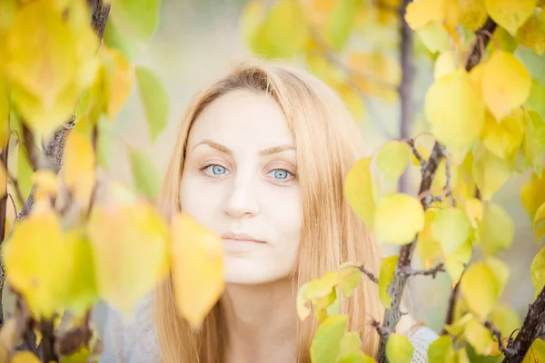 Blauwe Ogen Meisje Herfst Gele Bladeren — Stockfoto