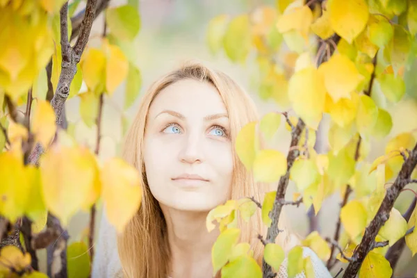 Niebieskooka Dziewczyna Jesienią Żółte Liście — Zdjęcie stockowe