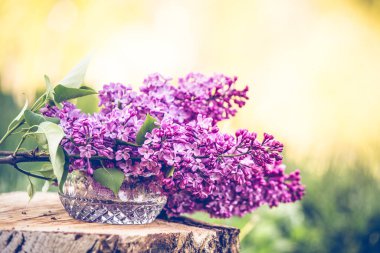 Çiçekli romantik arka planda mor leylak