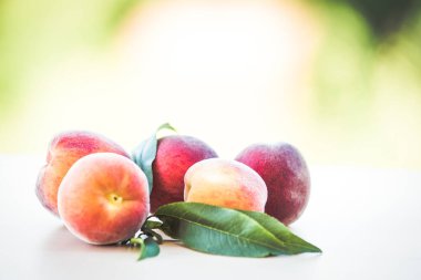 Organik büyüme olgun şeftali meyvesi 