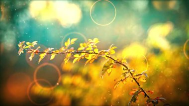 Turuncu yapraklı soyut sonbahar arkaplanı