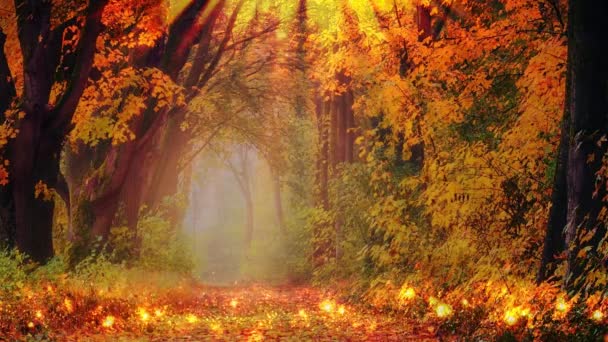 オレンジの葉を持つ抽象的な秋の背景 — ストック動画