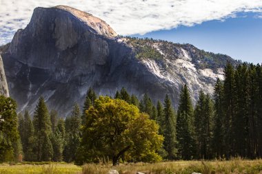Yosemite Vadisi 'ndeki Yarım Kubbe