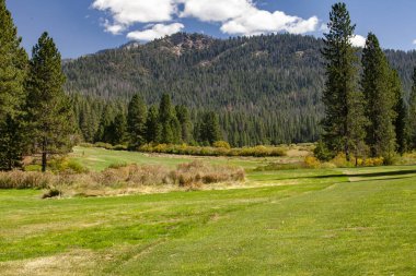 Yosemite 'deki Field and Meadow.