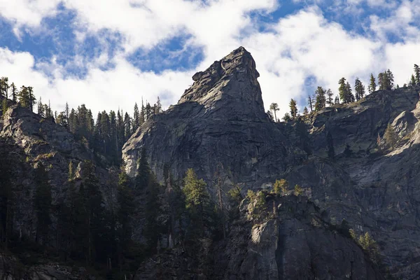Yosemite 'de ayı şeklinde granit bir şekil