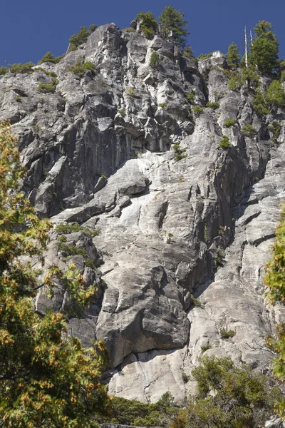 Granite formations and natural growth in Yosemite