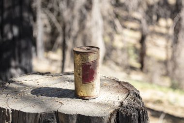 Bir kütüğün üzerindeki paslanmış konserve kutusu