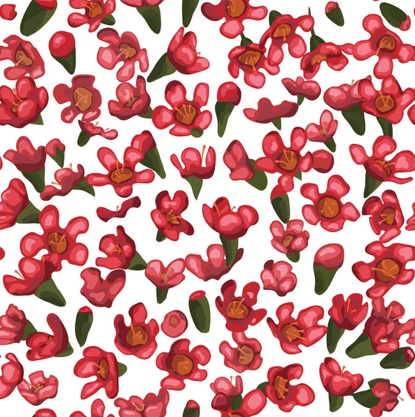 矢量花无缝图案背景 优雅的背景纹理 插图花卉水彩设计 Chamaelaucium — 图库矢量图片
