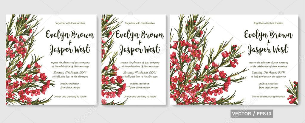 Wedding invite invitation menu card vector floral design: beautiful red waxflower pattern. Watercolor elegant hand drawn set, isolated.  Element for banners, greeting cards, flyer